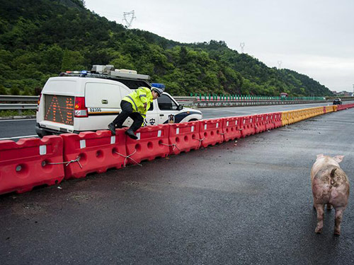 湖南省高速公路總局水馬防撞桶采購(gòu)項(xiàng)目